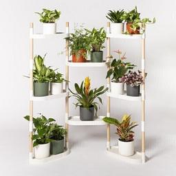 Étagère à 8 plateaux avec plantes Blanc