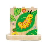 Puzzle De la chenille au papillon thumbnail