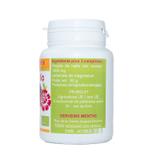 RADIS NOIR BIO AB dosés à 400 mg en comprimés. thumbnail