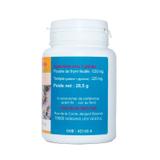 GELULES THYM gélules dosées à 210 mg thumbnail