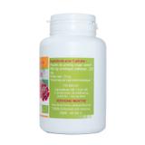 200 gélules GINSENG BIO AB dosées à 300 mg. thumbnail