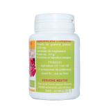 GUARANA BIO AB dosés à 400 mg en comprimés. thumbnail