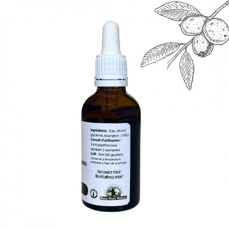 Macérât de bourgeons de Noyer - Gemmo - Juglans Regia - 50ml thumbnail