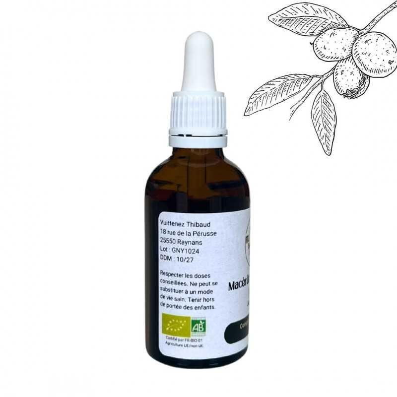 Macérât de bourgeons de Noyer - Gemmo - Juglans Regia - 50ml thumbnail