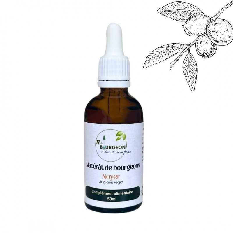 Macérât de bourgeons de Noyer - Gemmo - Juglans Regia - 50ml thumbnail