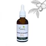 Macérât de bourgeons de Noyer - Gemmo - Juglans Regia - 50ml thumbnail