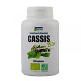 Cassis Bio - 200 gélules végétales de 250 mg thumbnail