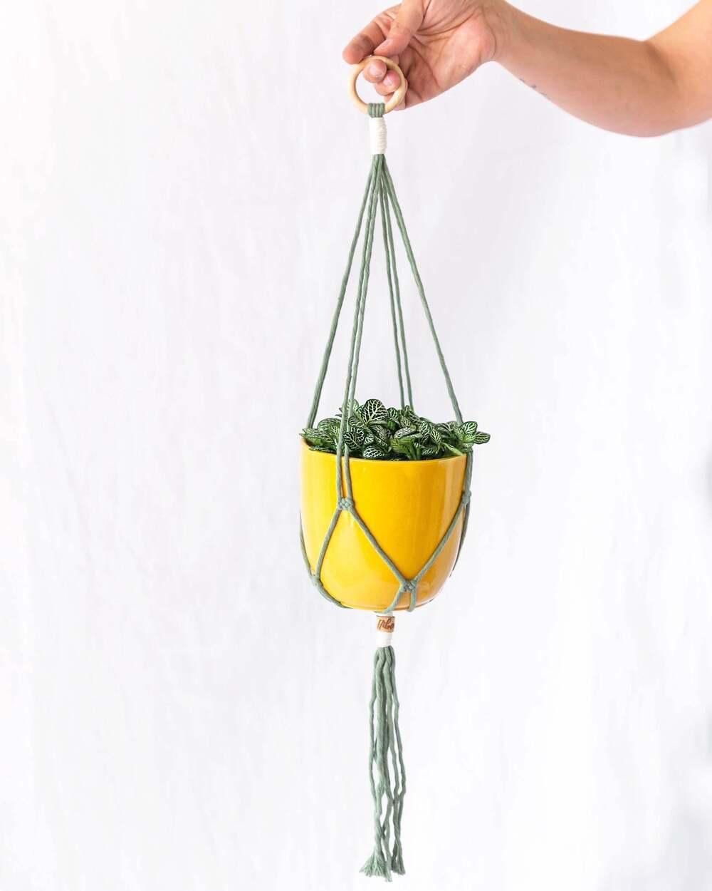 Bondi - Macramé Vert eucalyptus thumbnail