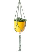 Bondi - Macramé Vert eucalyptus thumbnail