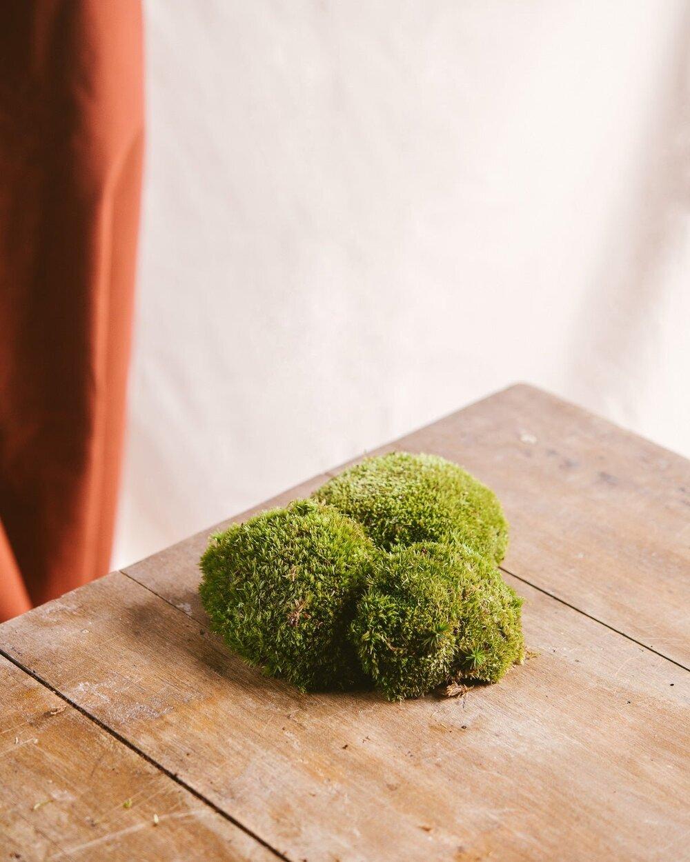 2 sachets de 3 mousses boules - Terrariums thumbnail