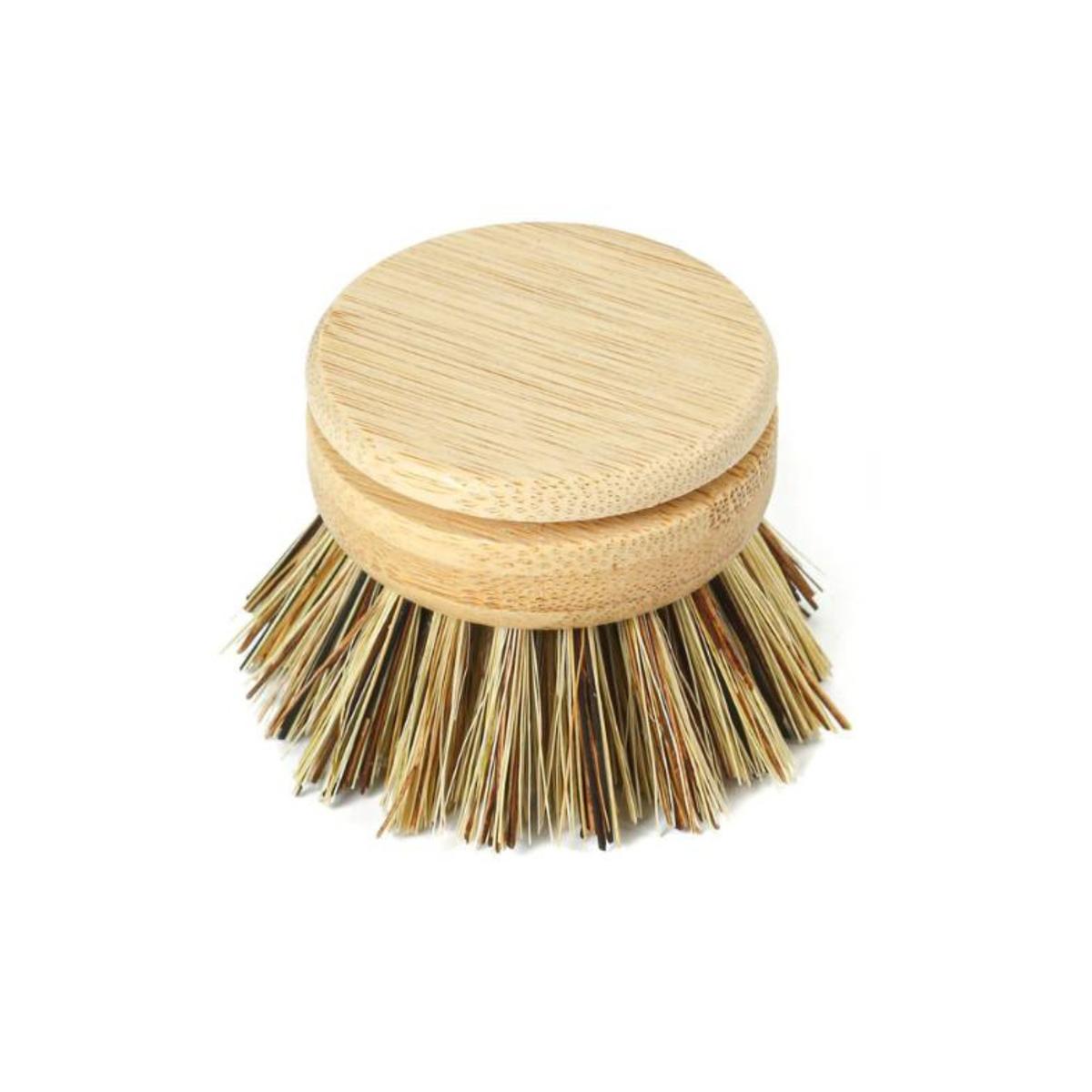 Tête de brosse à vaisselle - Bambou - Poils rigides (Palme) thumbnail