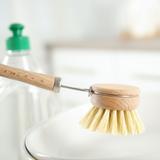 Tête de brosse à vaisselle - Bambou - Poils rigides (Palme) thumbnail