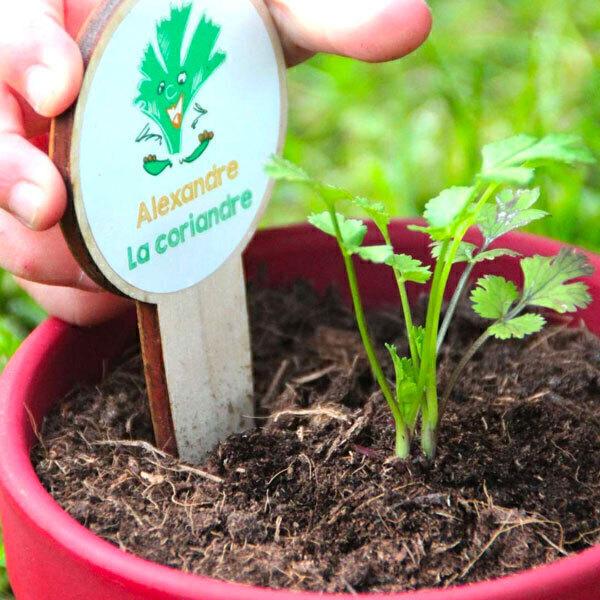 Kit herbes aromatiques bio à semer - Dès 3 ans thumbnail