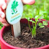 Kit herbes aromatiques bio à semer - Dès 3 ans thumbnail
