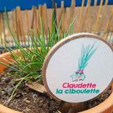 Kit herbes aromatiques bio à semer - Dès 3 ans thumbnail