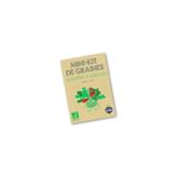 mini kit de graines bio d'augustun le mesclun thumbnail