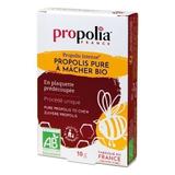 Propolis pure à mâcher 10g thumbnail