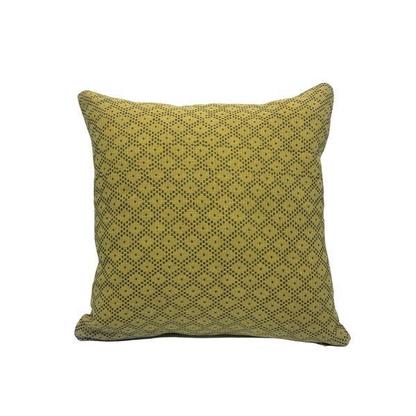 Coussin vert anis  40x40 en coton