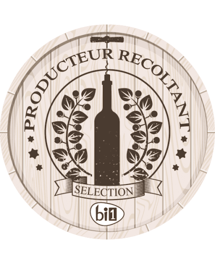 Chinon Bio "La Roche Honneur" 2020 - 1 x75cl - 13%vol thumbnail