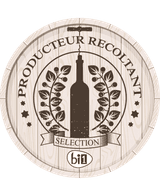 Chinon Bio "La Roche Honneur" 2020 - 1 x75cl - 13%vol thumbnail
