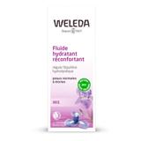 Fluide hydratant réconfortant Iris 30ml thumbnail