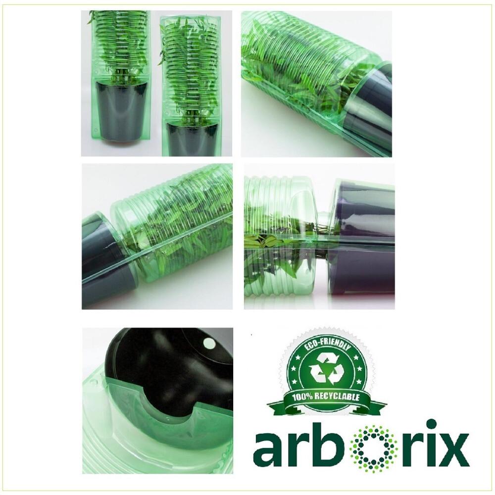 Sorbaria sorbifolia 'Sem' - 50-60 cm pot thumbnail