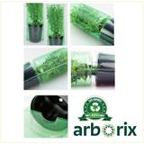 Sorbaria sorbifolia 'Sem' - 50-60 cm pot thumbnail