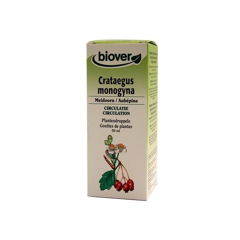 Crataegus Monogyna (Aubépine) Bio 50 ml thumbnail