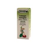 Crataegus Monogyna (Aubépine) Bio 50 ml thumbnail