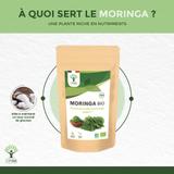 Moringa Bio en poudre - Conditionné en France - 100g thumbnail