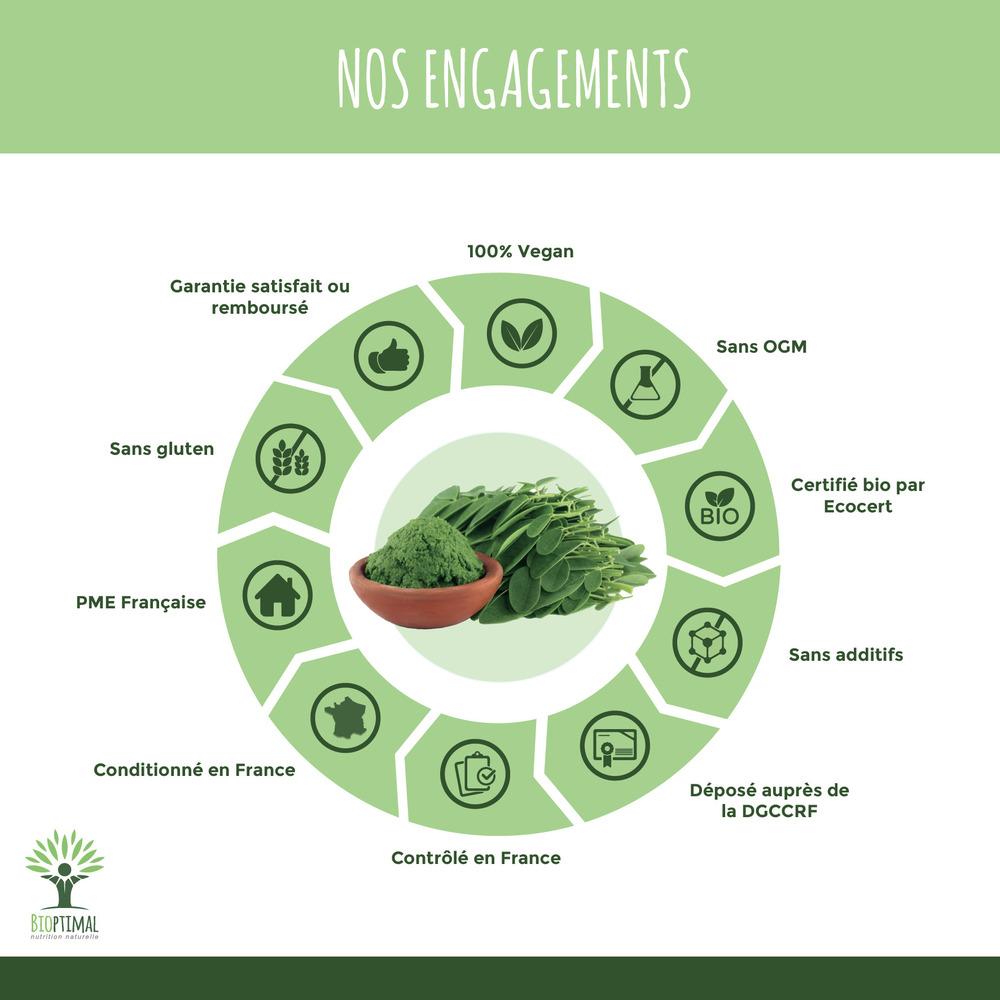 Moringa Bio en poudre - Conditionné en France - 100g thumbnail
