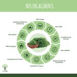 Moringa Bio en poudre - Conditionné en France - 100g thumbnail
