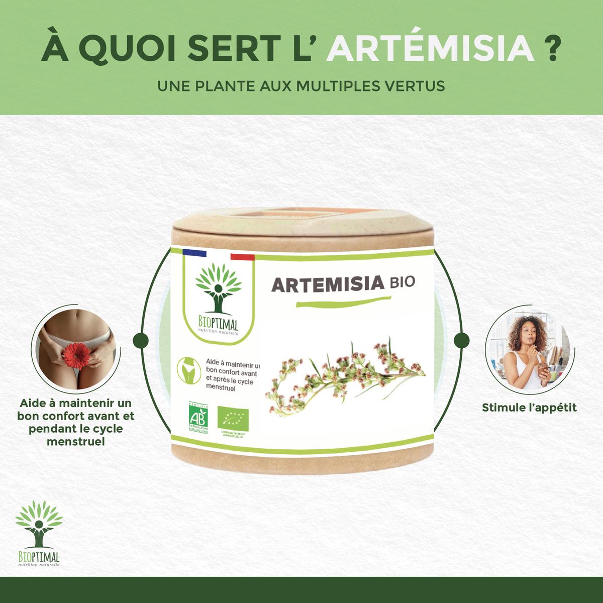 Artémisia bio - Complément alimentaire - 2X60gl thumbnail