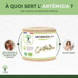 Artémisia bio - Complément alimentaire - 2X60gl thumbnail