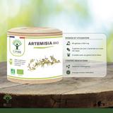 Artémisia bio - Complément alimentaire - 2X60gl thumbnail