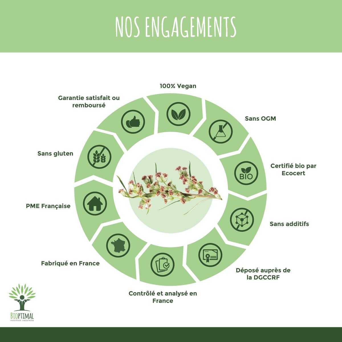 Artémisia bio - Complément alimentaire - 2X60gl thumbnail