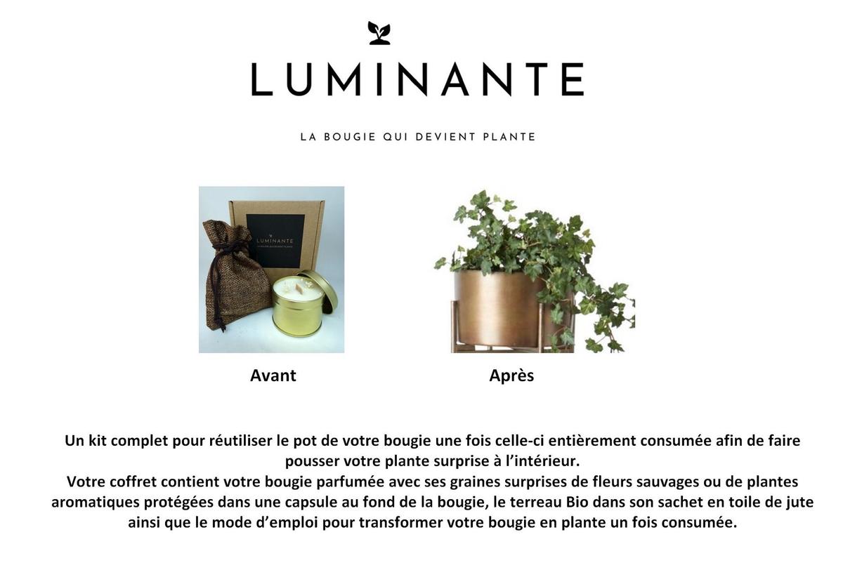 La bougie qui devient plante Fleur'Coton 23h thumbnail
