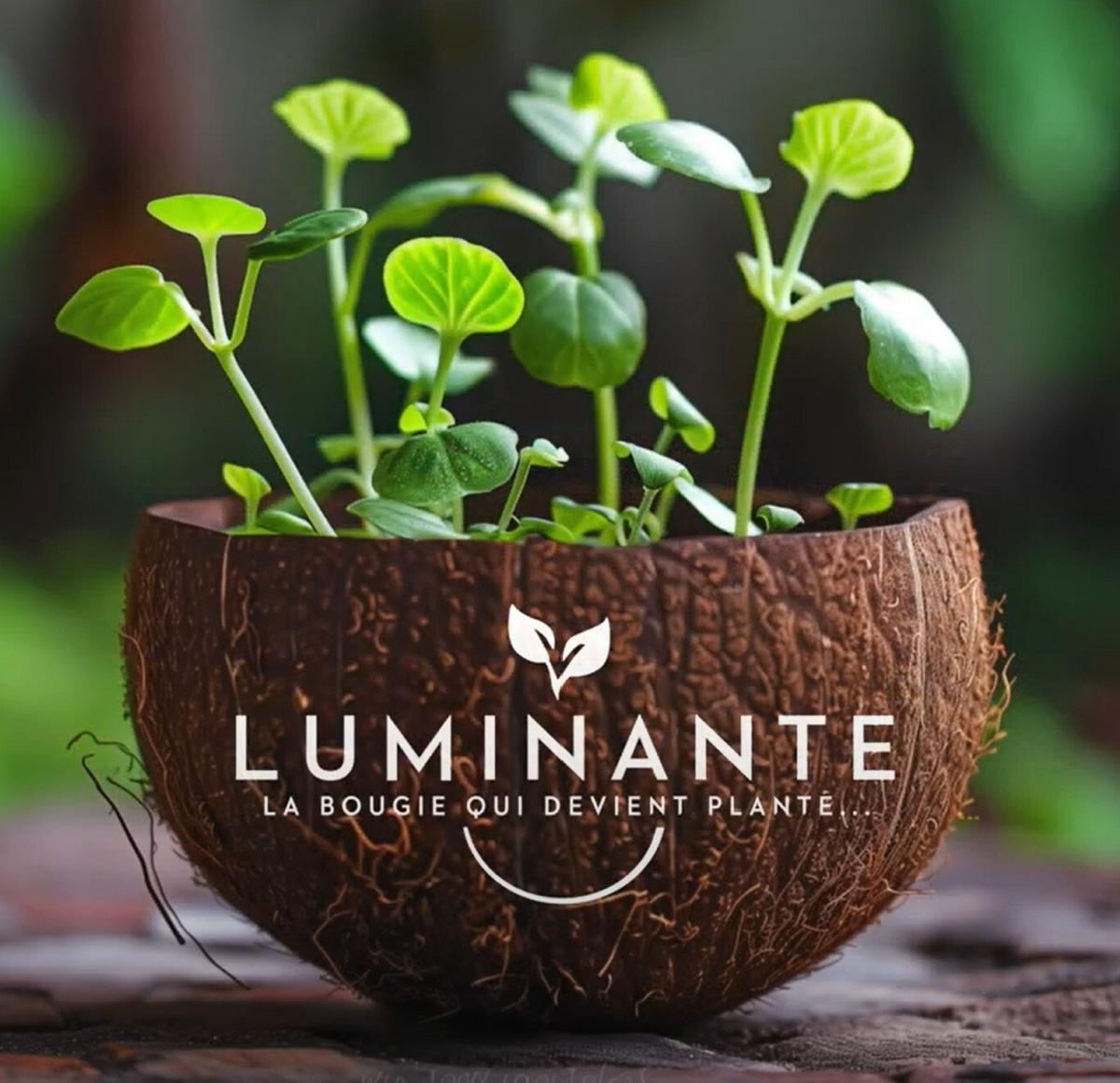 La bougie qui devient plante Fleur'Coton 23h thumbnail