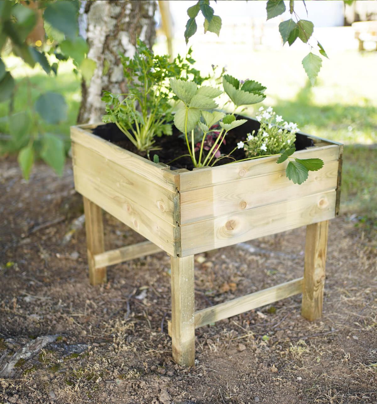 Carré potager surélevé pour enfants SACHA thumbnail