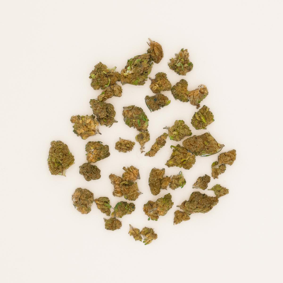 Mini Buds Royal Cheese 5G - CBD thumbnail