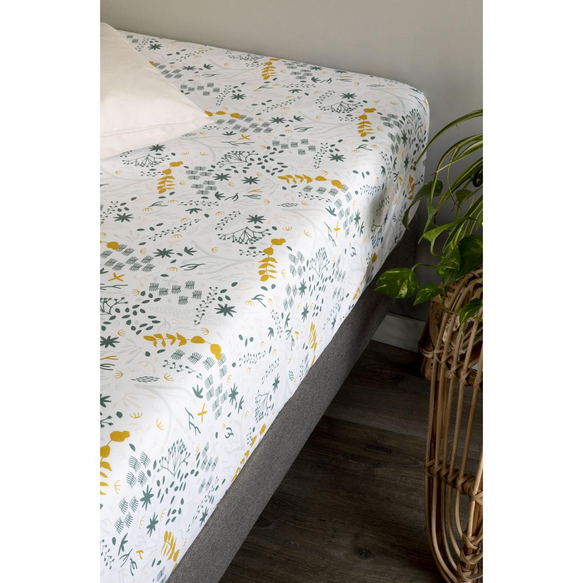 Drap housse adulte Coton Bio Yukari thumbnail