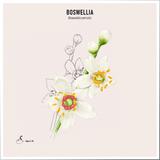 Digestol | Boswellia - Constipation thumbnail