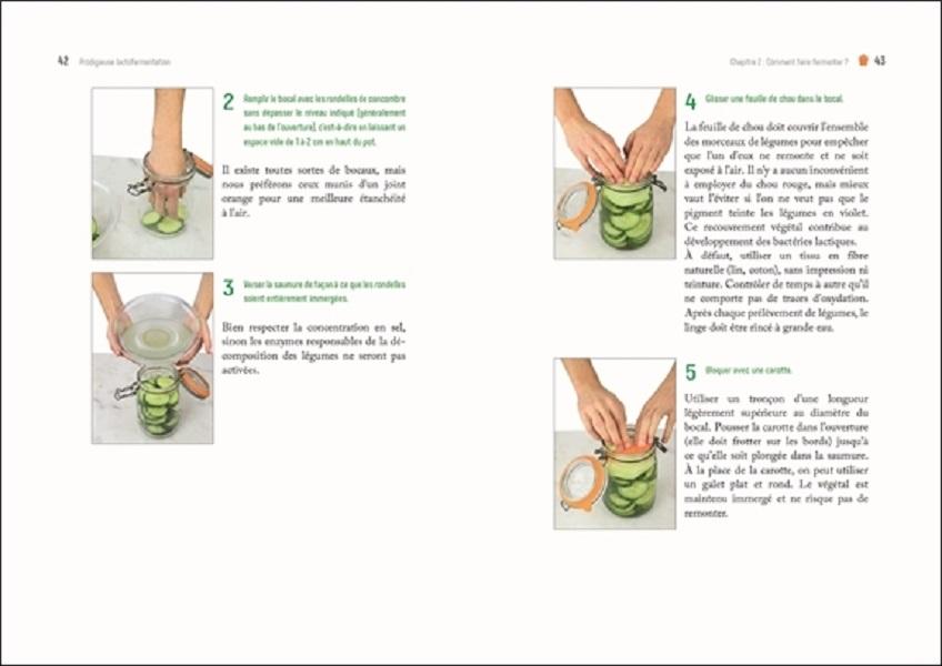 Prodigieuse lactofermentation thumbnail