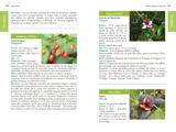 Jardins-forêts thumbnail