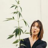 Kit plantation de chanvre cbd_bleu thumbnail
