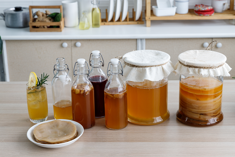 Tout savoir sur le kombucha : bienfaits, préparation et