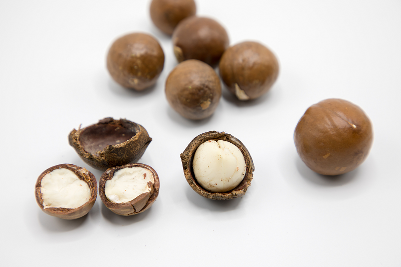 Les vertus et utilisations de la noix de Macadamia